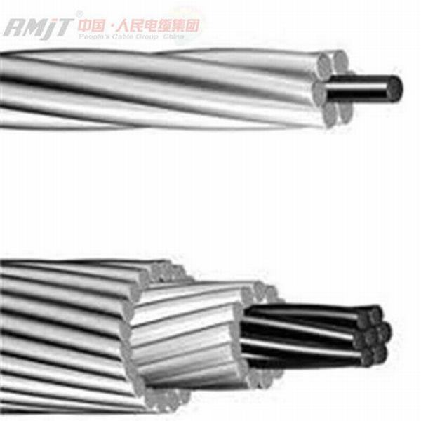 China 
                        Overhead Bare Aluminum Conductor Steel Reinforced ACSR Conductor
                      manufacture and supplier