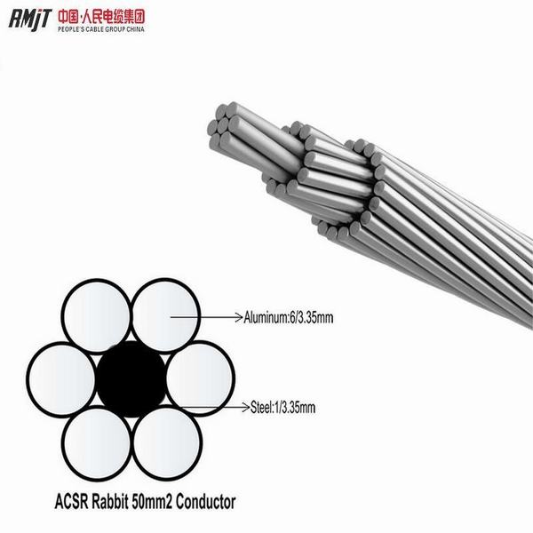 China 
                                 Obenliegender blank Aluminiumleiter Stahl verstärktes ACSR des Leiter-BS215                              Herstellung und Lieferant