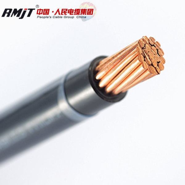 China 
                        PVC Insualtion Thw/Tw/Thhn Copper Wire
                      manufacture and supplier