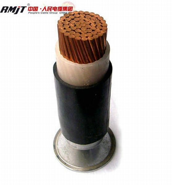 China 
                        Power Transmission Line 1000V Sta Armoured XLPE Power Cable
                      manufacture and supplier