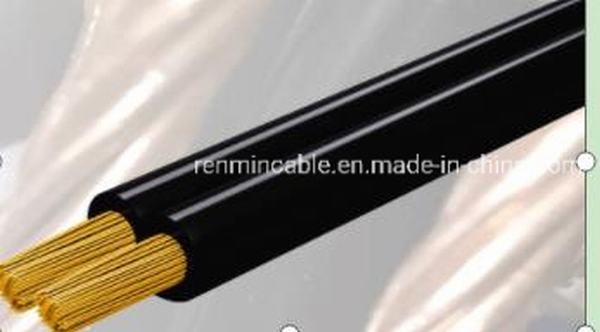 China 
                        Spt Flat Parallel Cord Cable
                      manufacture and supplier