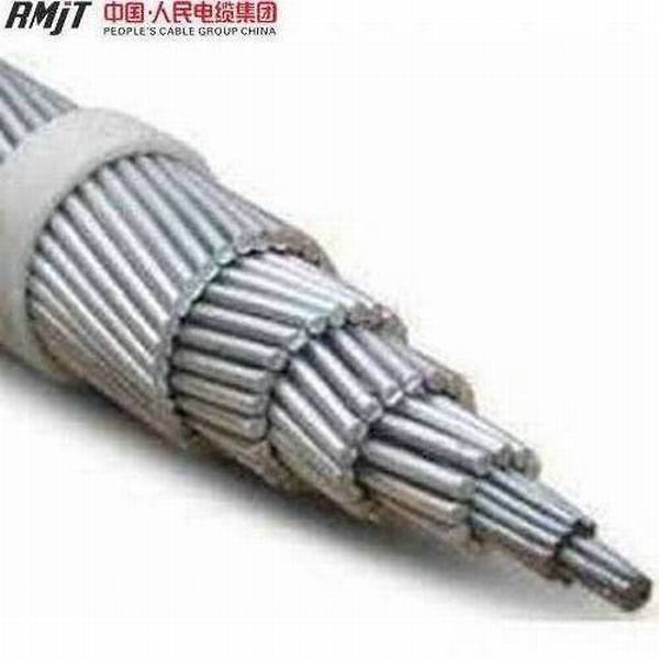Китай 
                                 Высшее качество AAC оголенные провода ASTM B231                              производитель и поставщик