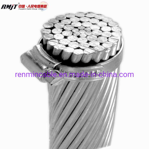 China 
                        Top Quality All Aluminum Alloy Bare Conductor
                      manufacture and supplier