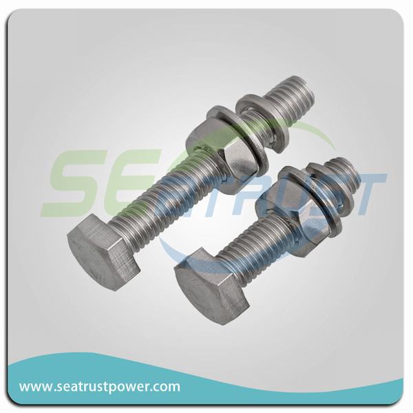 China 
                        Galvanized Bolt/Nut/Flat Washer/Spring Washer Fastener
                      manufacture and supplier
