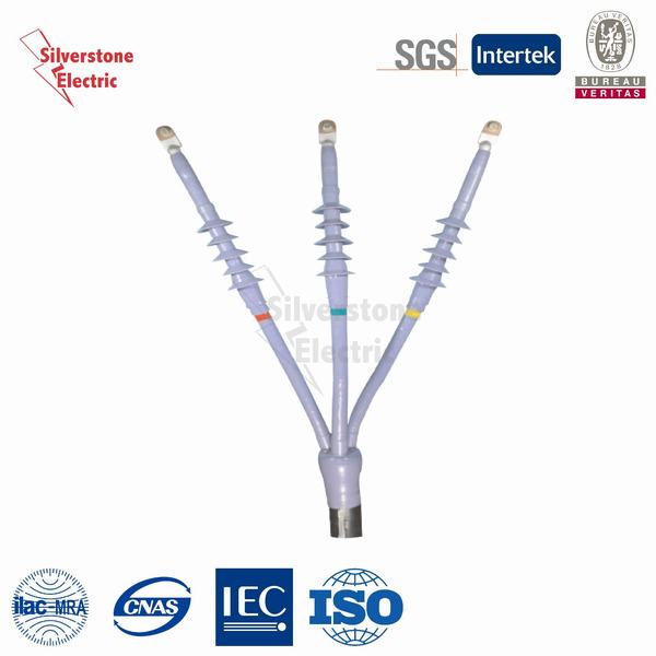China 
                        20/24 Hv Outdoor Cold Shrinkable Termination Kit and Splice Kit
                      manufacture and supplier