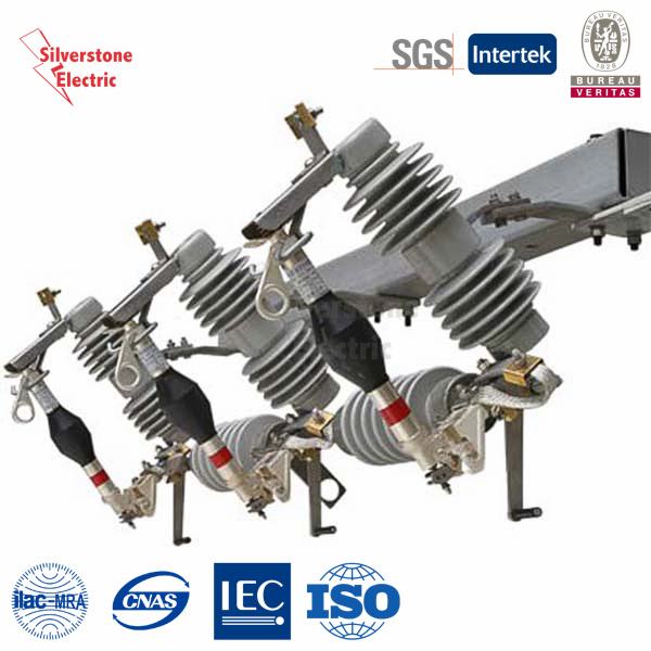China 
                        Surge Arrester /Lightning Arrester / (Silicon) 33kv Outdoor
                      manufacture and supplier
