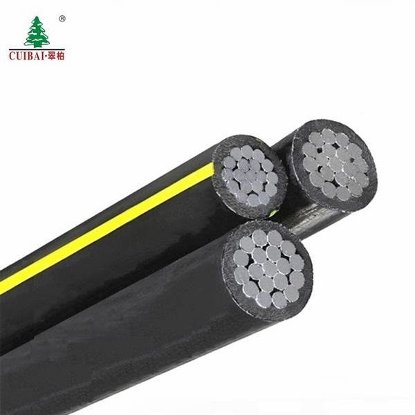 China 
                        1000V XLPE Insulation Twisted Overhead Service Drop Cable/Wire Sdw Cable
                      manufacture and supplier