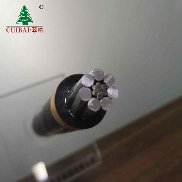 China 
                                 El conductor de aluminio reforzado de acero (ACSR) Cable de alimentación superior                              fabricante y proveedor