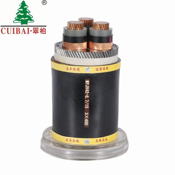 China 
                        Copper/Steel Armoured XLPE Insulated PVC Sheathed Electrical Wire Power Cable
                      manufacture and supplier
