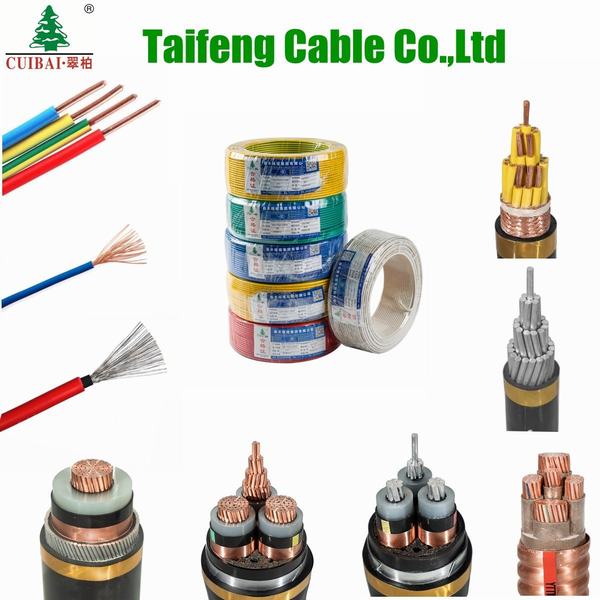 China 
                        Fire Resistant DC/AC XLPE Insulated PVC Sheathed Steel Tape Armored Copper/Aluminum Conductor Flexible Control Building Electrical/Electric Power Cable Wire
                      manufacture and supplier