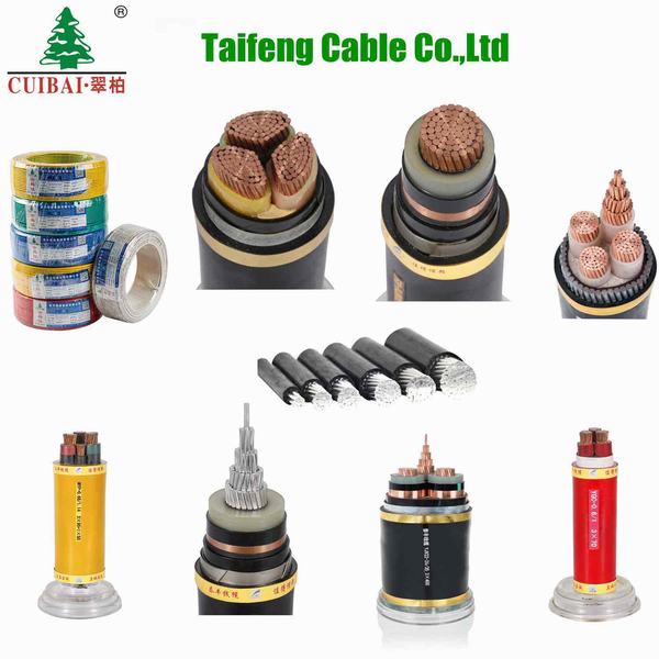 China 
                        Flexible Copper Conductor AC/DC Fire Resistant/Proof Flame Retardant XLPE PVC Insulated Aluminum Shielded Braided Control Cables Cable Electric/Electrical Wire
                      manufacture and supplier