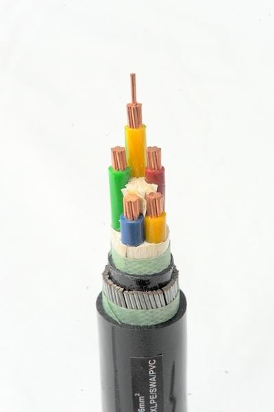 China 
                        0.6_1kV 3.6_6KV PVC Insulated Power Cables
                      manufacture and supplier