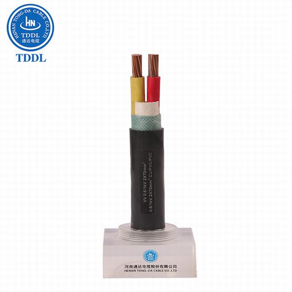 0.6/1kv-2 Core Copper Conductor PVC Insulated PVC Sheathed Power Cable Nyy Power Cable