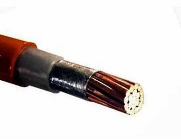 China 
                        0.6/1kv Single Core Fire Resistant Power Cable 1.5sqmm ~ 800sqmm IEC 60331
                      manufacture and supplier
