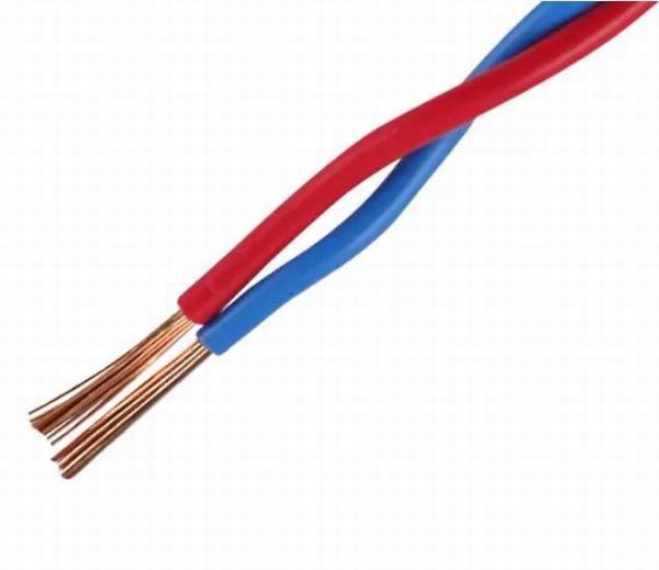 China 
                                 100% kupferner Prüfungs-Spannung des Leiter-Zwilling-flache elektrischen Kabel-2000V/5 Minuten                              Herstellung und Lieferant