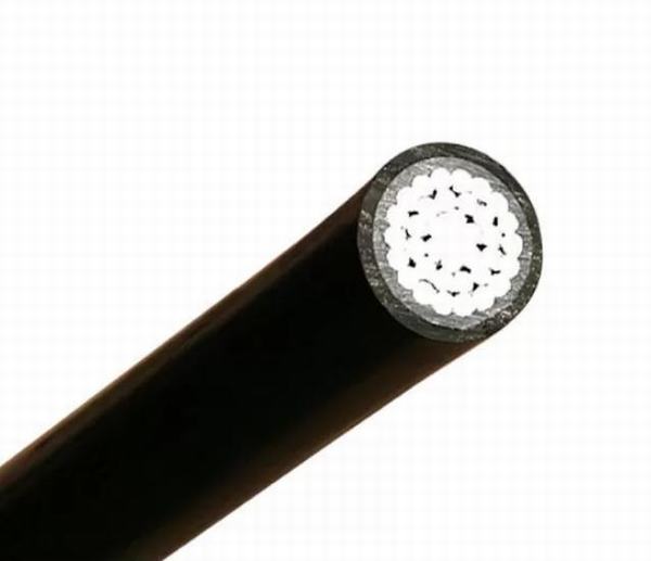 China 
                        16 Sq mm XLPE Insulated Power Cable 1000 Volt Yxv-U Na2xy Yjlv
                      manufacture and supplier