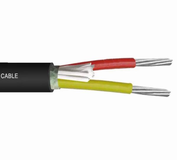 China 
                        1kv Aluminum Conductor PVC Insulated & Sheathed Two Core Unarmoured Power Cable
                      manufacture and supplier