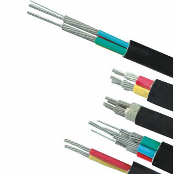 China 
                        Aluminum Core PVC Insulated Power Cables
                      manufacture and supplier