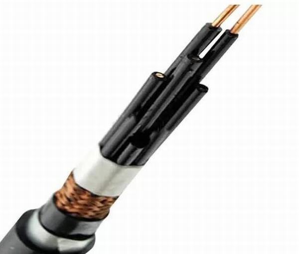 China 
                        Armored Control Cables Applicable to 450 / 750V and Below The Multi-Core
                      manufacture and supplier