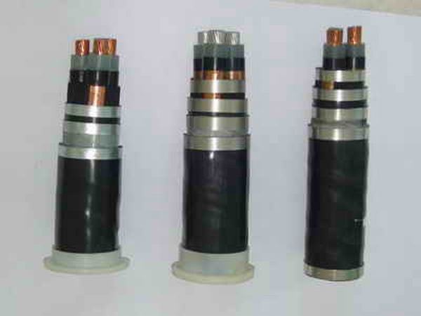China 
                        Armored Xlpe Insulated Power Cable
                      manufacture and supplier