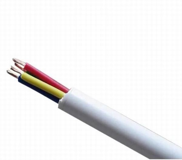 China 
                        BVV 300V / 500V Multi Core Copper Conductor House Wiring Cable
                      manufacture and supplier