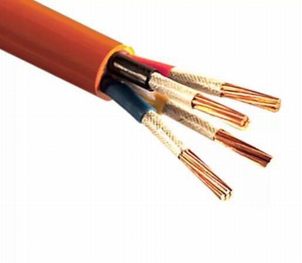 China 
                        Ce Approved Low Voltage 0.6/1 Kv LSZH Fire Proof Cable / Flame Resistant Cable
                      manufacture and supplier