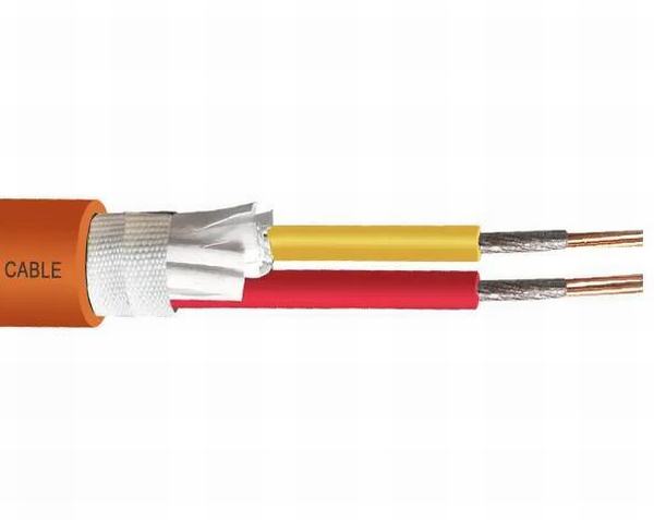 China 
                                 Cu-/Glimmer-Band-feuerbeständiges Kabel für Sprenger/Rauch-Kontrollsystem                              Herstellung und Lieferant