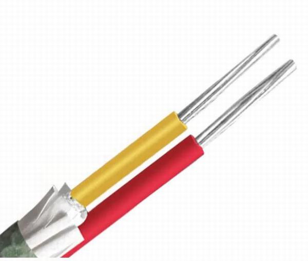 Custom Concentric 25 Sq mm Aluminium Cable, XLPE Power Cable 0.6kv / 1kv