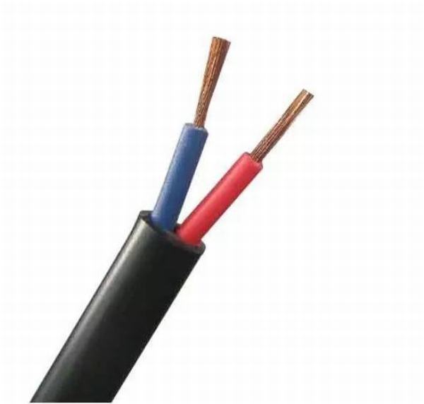 Chine 
                                 Double coeurs coeurs isolés en PVC souple câble métallique Rvv 1.5mm2 2,5Mm2 4mm2 avec boîtier en plastique                              fabrication et fournisseur