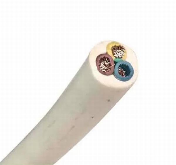 China 
                        Flexible Cable 6sqmm LV 3core Cu / PVC / PVC Rated Electrical Cable Wire Voltage 450/750V
                      manufacture and supplier