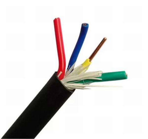 China 
                        Four Cores Electrical Cable Wire with Solid Copper Conductor 450 / 750V with PVC Sheath
                      manufacture and supplier
