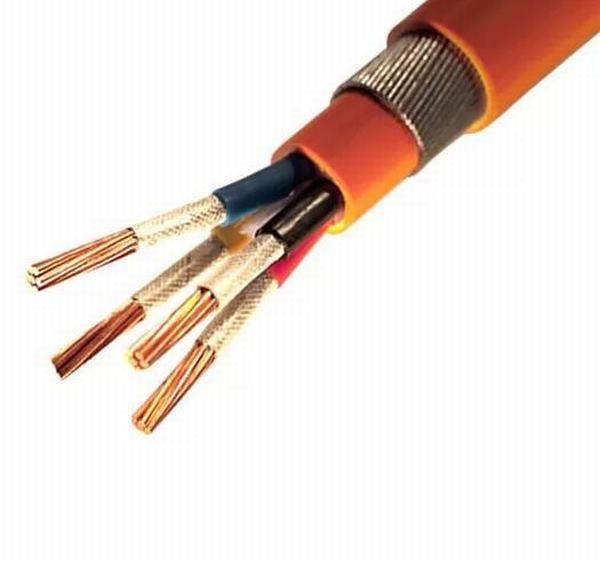 China 
                        Frc XLPE Fire Rated Electrical Cable Indoor / Outdoor Power Transmit
                      manufacture and supplier