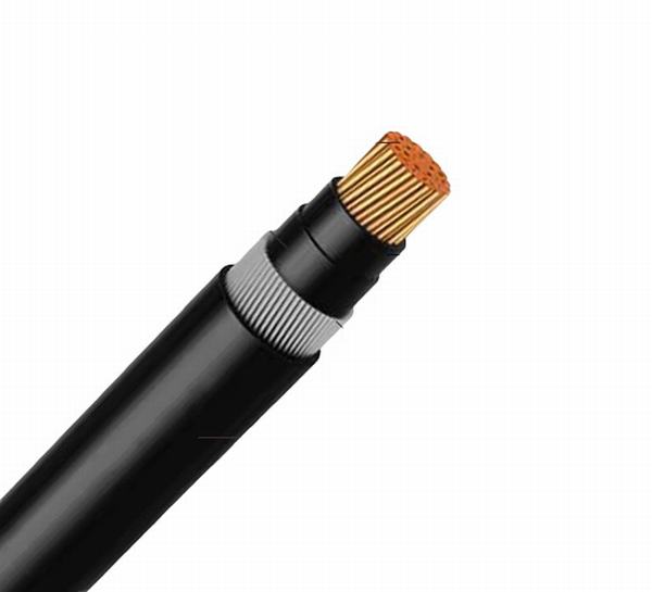 China 
                        Low Voltage Copper Couductor XLPE Insulation Swa Armored PVC Sheath Power Cable
                      manufacture and supplier