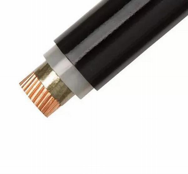 China 
                                 Aislamiento XLPE de baja tensión del cable a prueba de fuego Conductor de cobre recubierto de PVC                              fabricante y proveedor