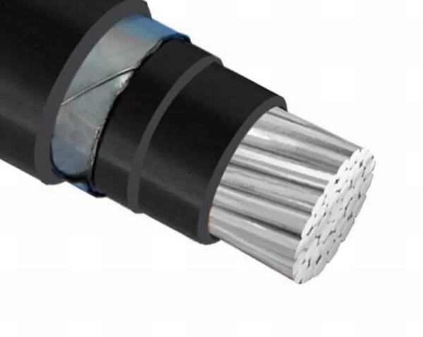 China 
                        PVC Insulation Stainless Steel Tape Armoured Electrical Cable One Core Low Voltage Aluminum Cable
                      manufacture and supplier