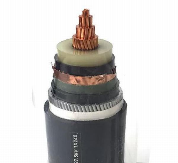 China 
                        PVC out Sheath Steel Wire Armoured Power Cable with Copper Conductor
                      manufacture and supplier