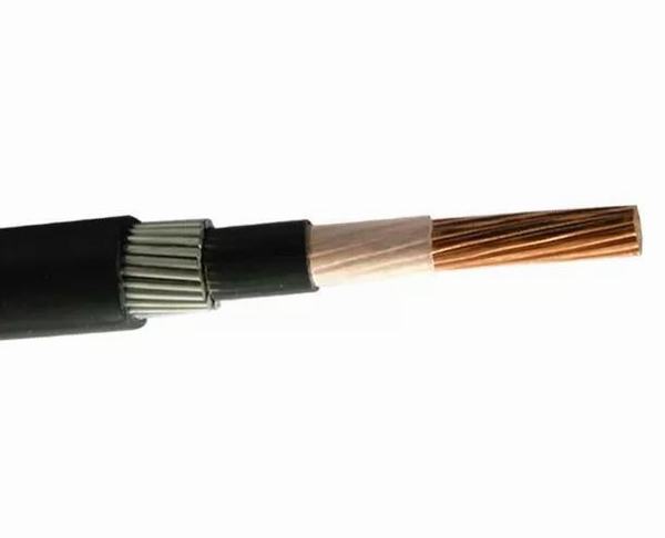 China 
                        Phase 1 Swa Armoured Electrical Cable LV Underground Power Cable 0.6 / 1kv
                      manufacture and supplier