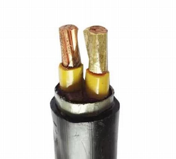 China 
                        Power Station Muti - Cores Low Voltage Fire Resistant Cable IEC60502-1 IEC60228 IEC60331
                      manufacture and supplier