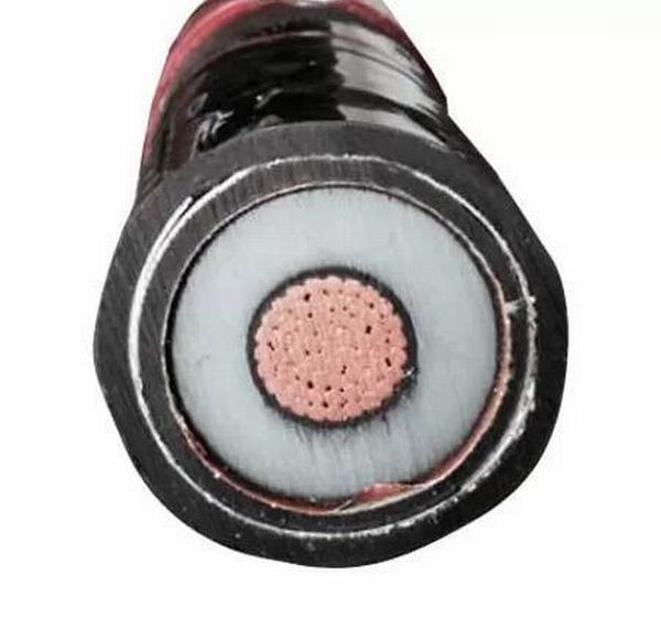 China 
                        Single Core 3.8/6.6-19/33kv Copper / Aluminium Electrical Cable 1cx50sqmm to 1cx 1000sqmm
                      manufacture and supplier