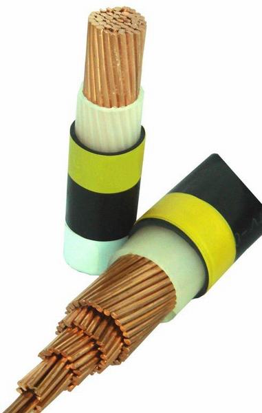 Chine 
                                 Single Core les câbles de puissance isolés en polyéthylène réticulé                              fabrication et fournisseur