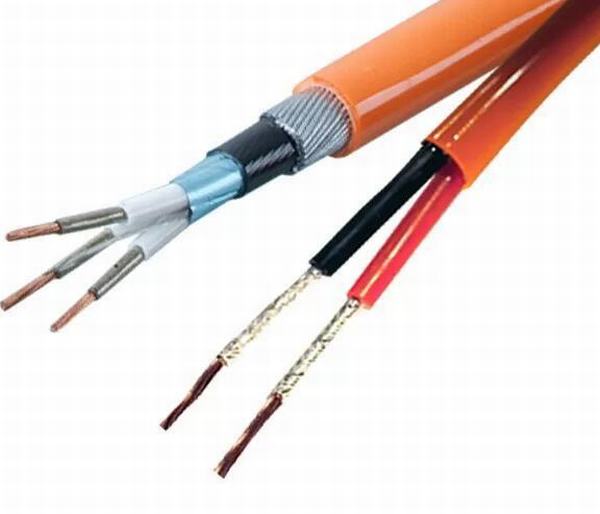 China 
                                 Blindado con alambre de acero Muti Core Cu / XLPE/PVC Frc Cable a prueba de fuego 0.6/1kv Ce certificado RoHS                              fabricante y proveedor