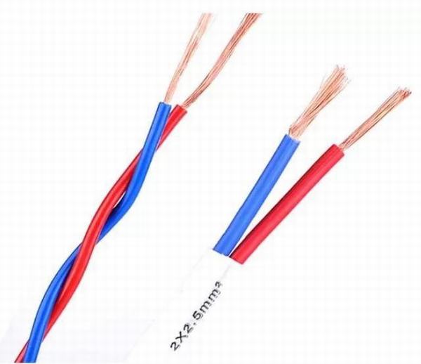 China 
                                 Dois núcleos industriais o fio elétrico e o cabo com isolamento de PVC revestido de PVC                              fabricação e fornecedor