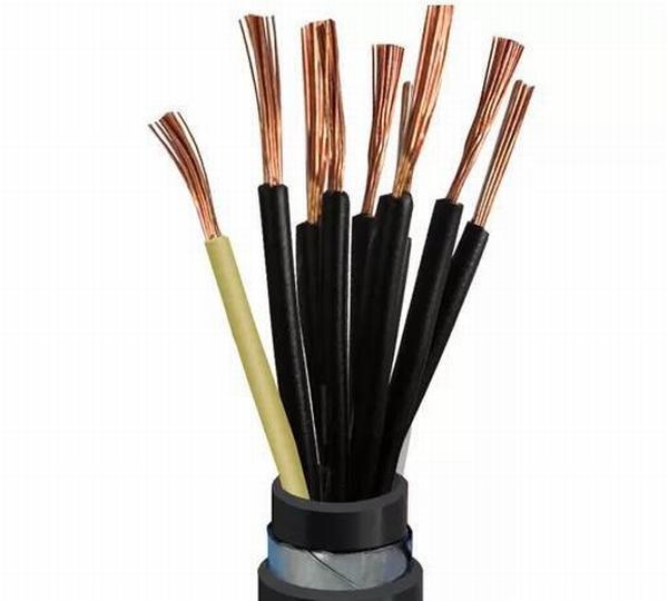 China 
                        XLPE Insulated Armoured Control Cable Multi-Core Flame Retardant
                      manufacture and supplier