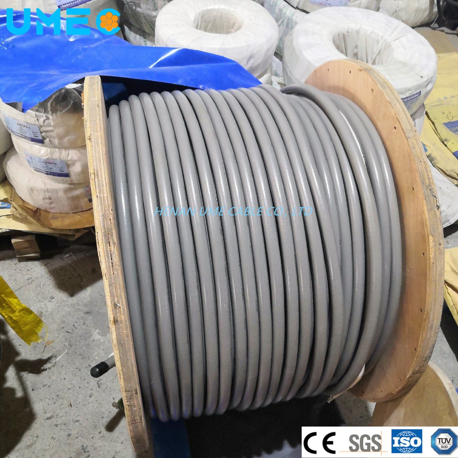 
                0.6/1 kV XLPE isoliertes, galvanisiertes, gezeiltes Stahlkabel 2 x 2,5 mm2 2 2 x 4 mm2 4 x 10 mm2 Elektrokabel
            