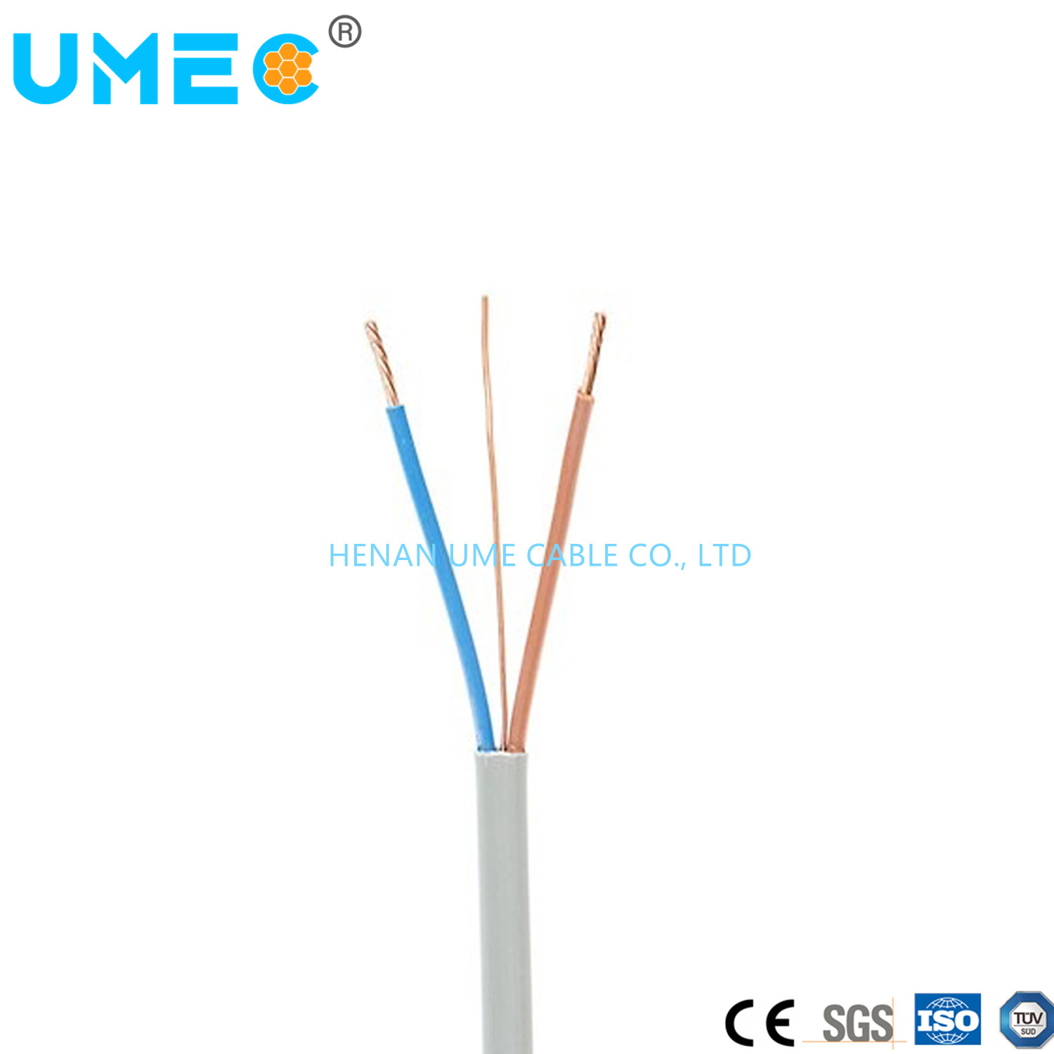 Chine 
                2*16+1*16mm2 3 noyaux du câble de masse Insualtion Conducteur en cuivre PVC isolant en PVC Câble d′alimentation
              fabrication et fournisseur