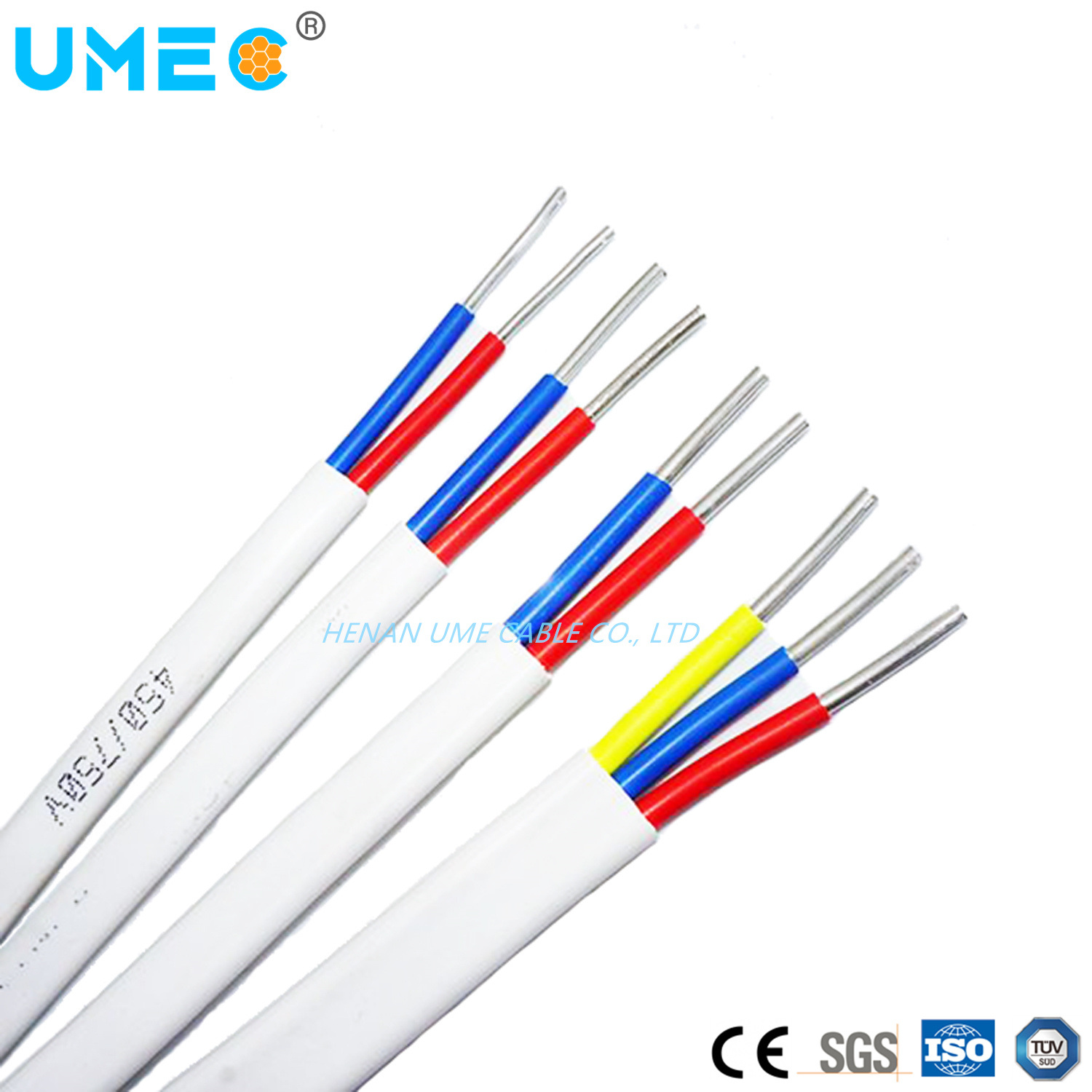 300/500V Aluminum Flat Cable Blvvb 2 3core Aluminum Conductor Electric Wire 1.5sqmm 2.5sqmm 4sqmm 6sqmm Price