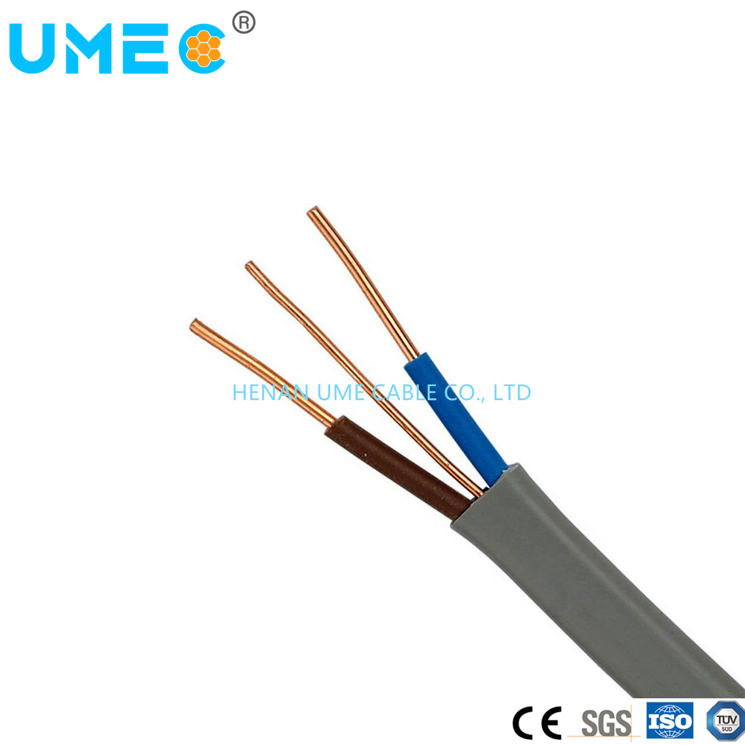 China 
                Cable de masa BVVB 6242y aislamiento de PVC cables Abd funda doble cable de tierra plana y 6242S
              fabricante y proveedor