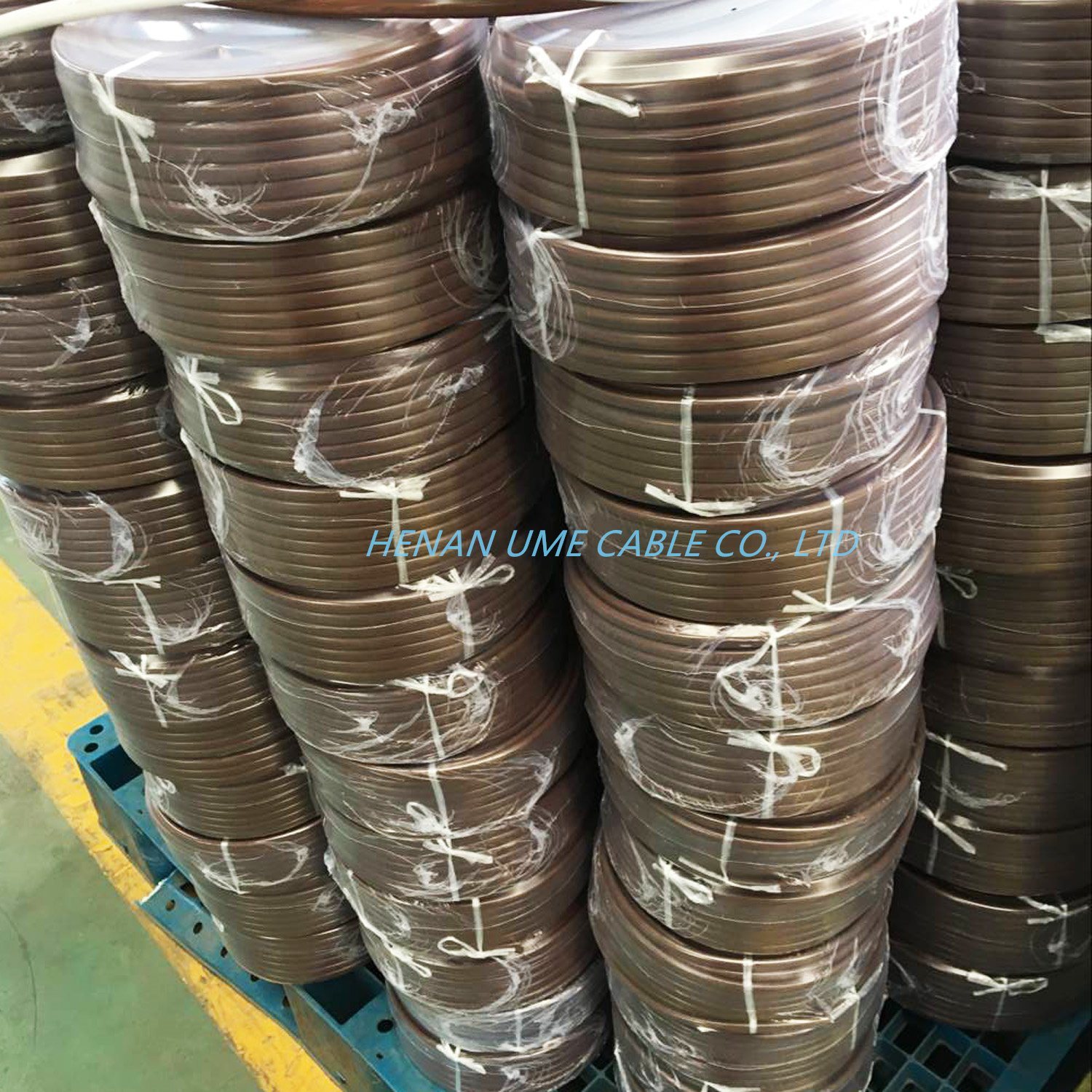 China 
                BVVB+E+Twin massa sólida dos cabos eléctricos de cobre entrançado/Twin e massa do cabo da bainha 2X1,5+1X1 2X10+1X6 Cabo Elétrico
              fabricação e fornecedor
