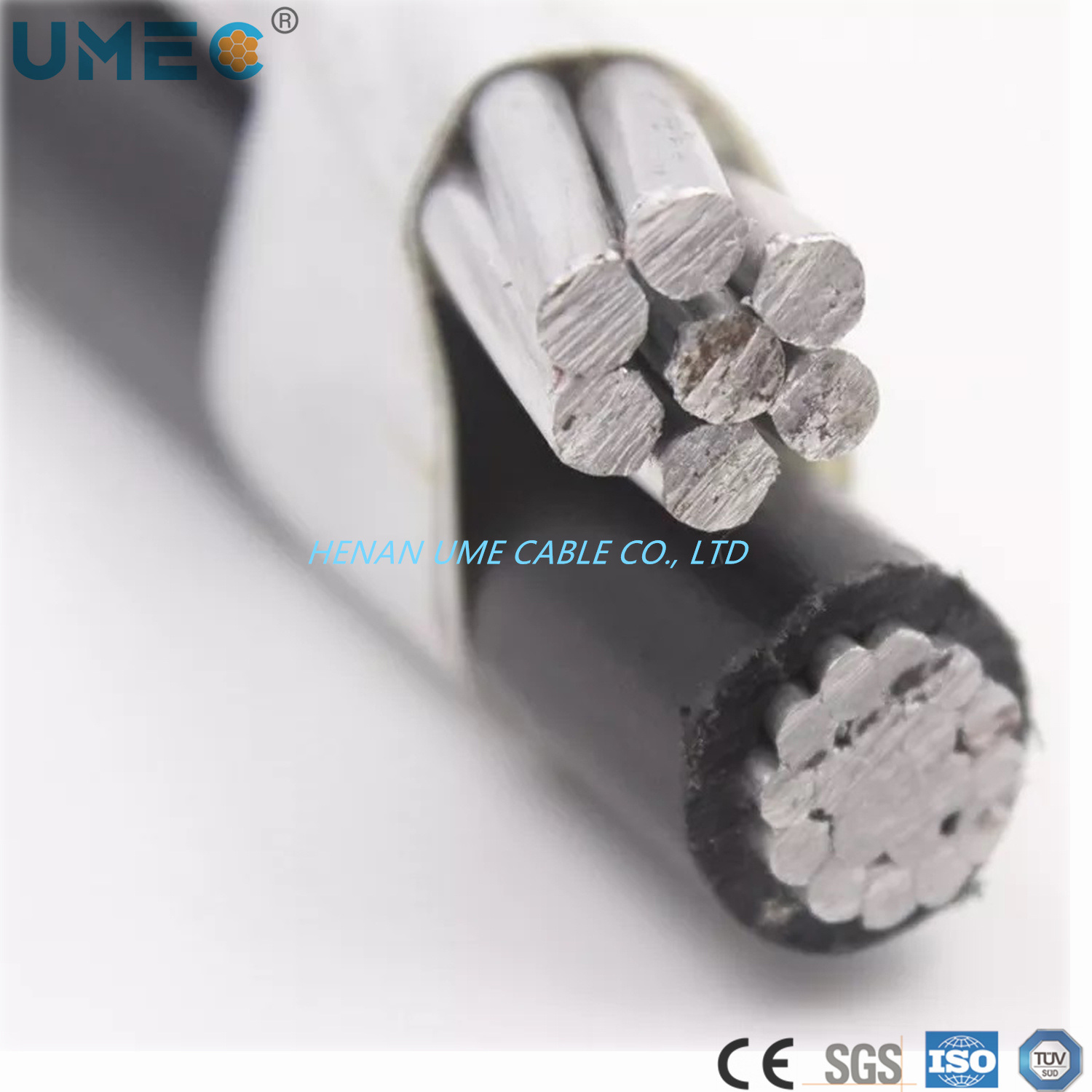 
                De aluminio desnudo 0.6-1kv AAC/AAAC/Conductor ACSR caída de servicio de cable dúplex
            