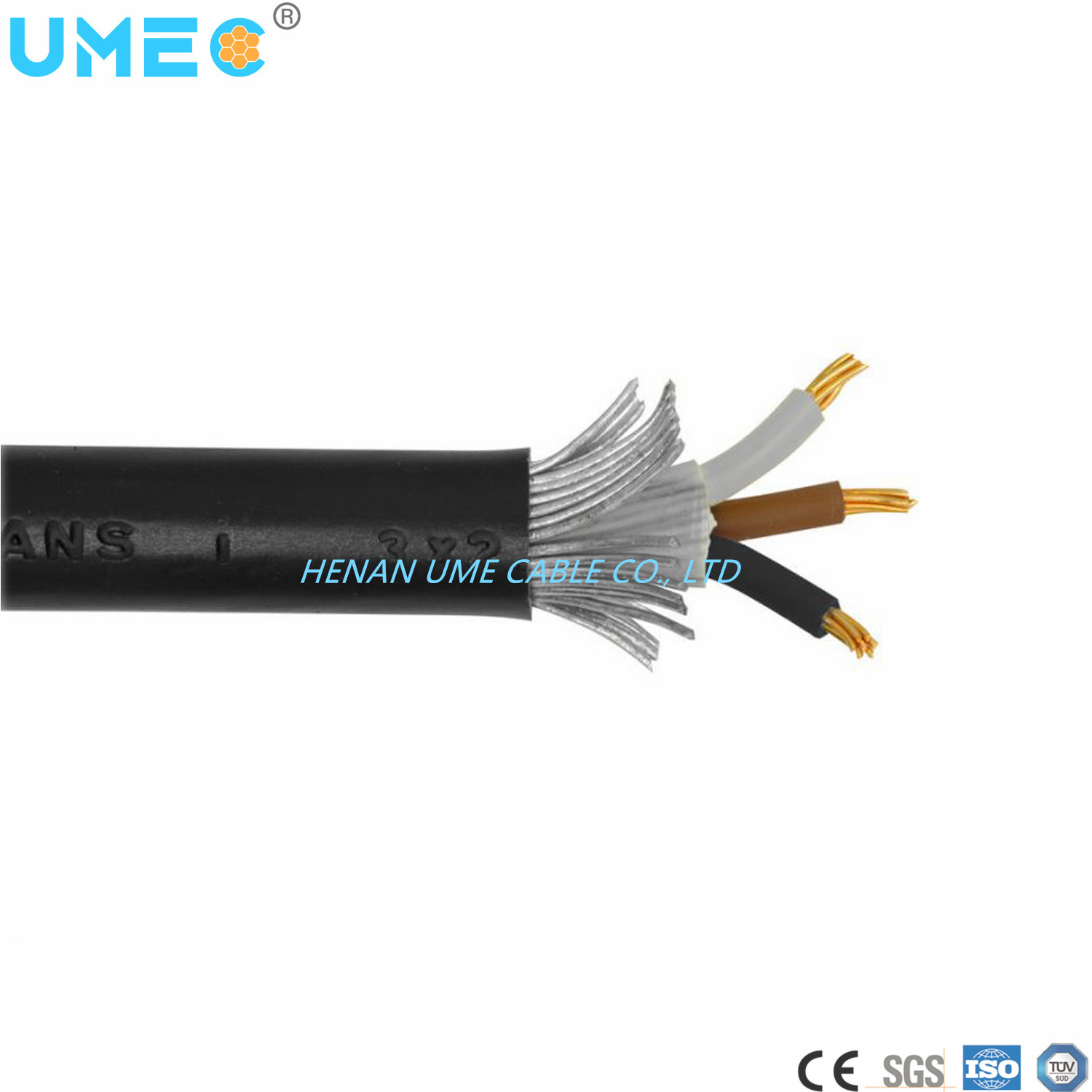 Cina 
                Cavo elettrico cavo Swa blindato isolato in XLPE/PVC
              produzione e fornitore